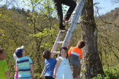 Aktion zur Verbesserung des Artenschutzes