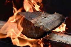 Schöner Auftakt beim romantischen Christkindlmarkt im Fürstengarten Donaustauf
