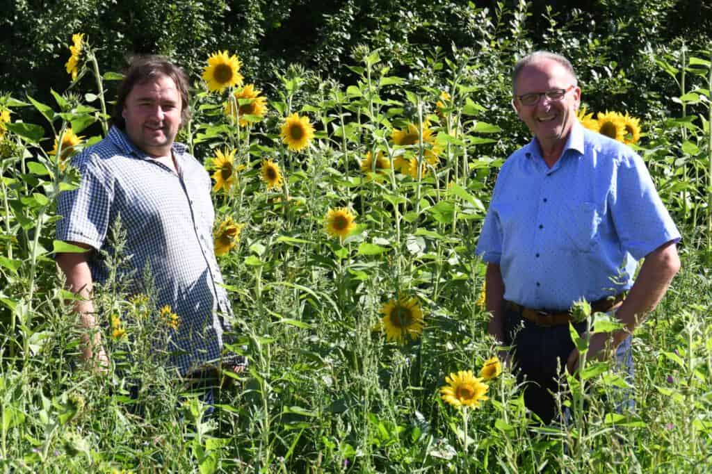 Gelebter Umweltschutz in Donaustauf und Sulzbach